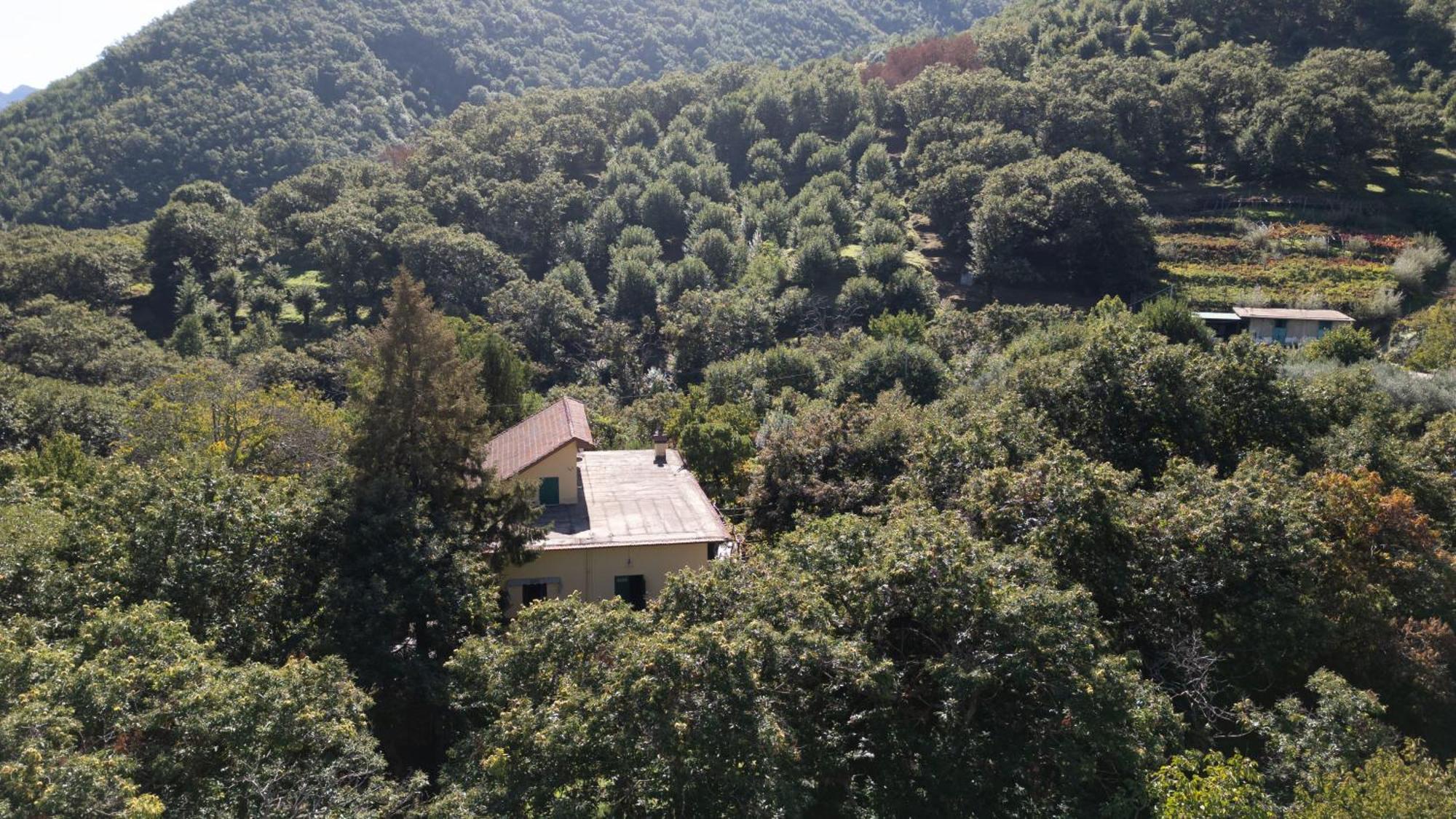 トラモンティ Casa Giordanoヴィラ エクステリア 写真